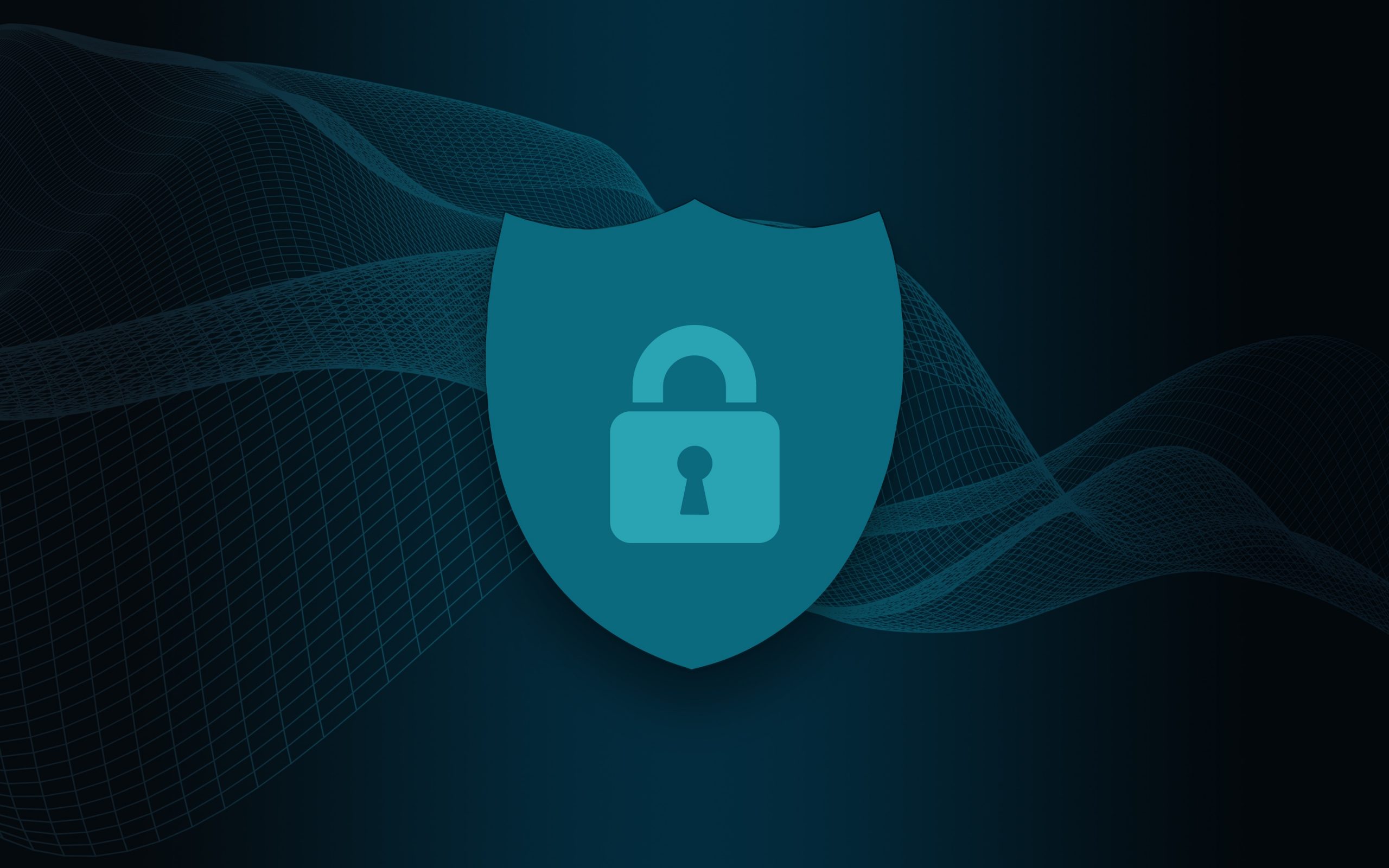 PROTECTING YOUR BUSINESS FROM FRAUD!